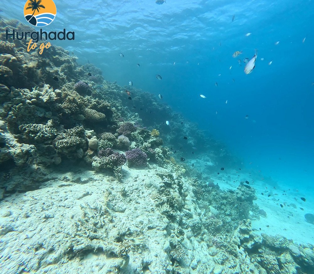 3-Day PADI Open Water Diving Course 3-Day PADI Open Water Diving Course