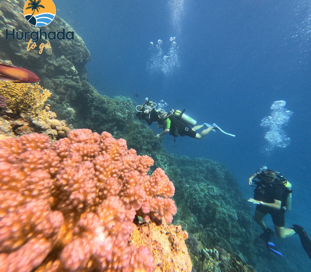 3-Day PADI Open Water Diving Course 3-Day PADI Open Water Diving Course