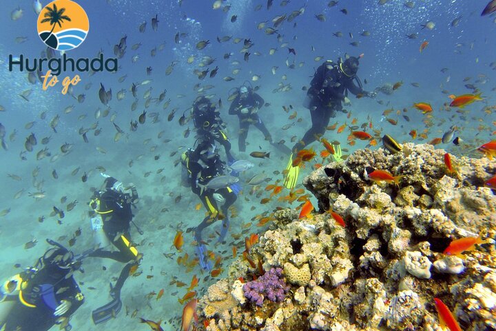 3-Day PADI Open Water Diving Course 3-Day PADI Open Water Diving Course