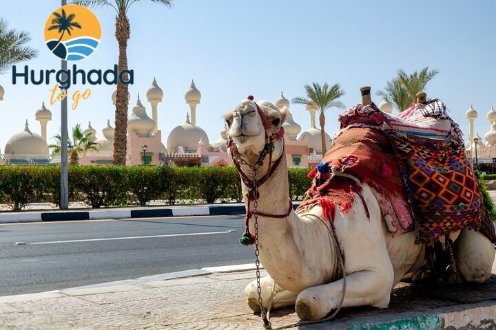 Hurghada City Tour with Shopping Stops