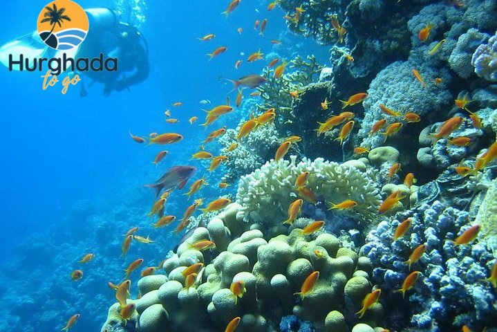 3-Day PADI Open Water Diving Course 3-Day PADI Open Water Diving Course