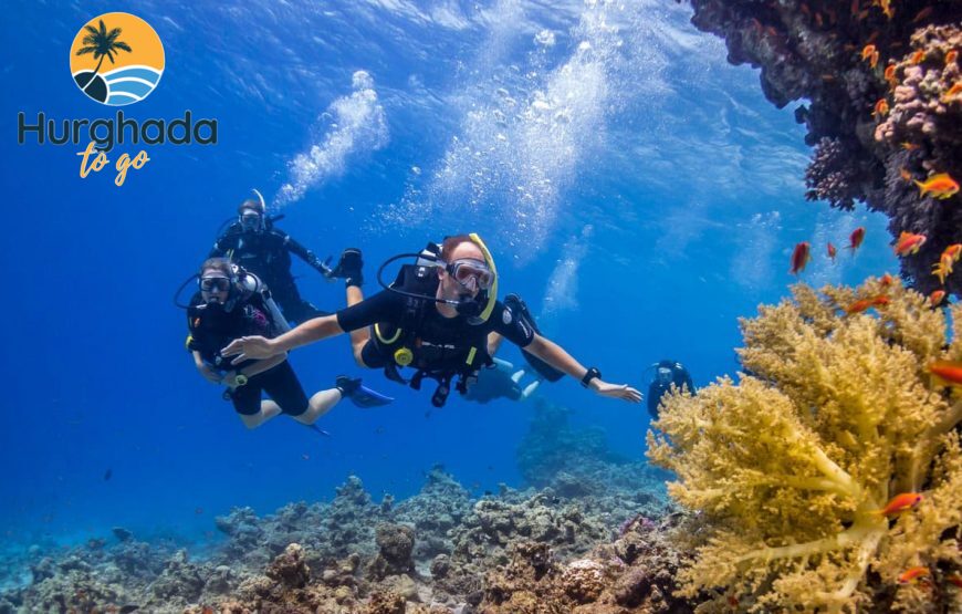 3-Day PADI Open Water Diving Course 3-Day PADI Open Water Diving Course