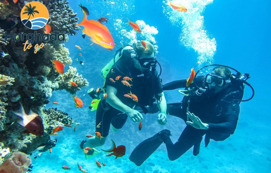 3-Day PADI Open Water Diving Course 3-Day PADI Open Water Diving Course