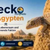 Gecko in Ägypten – Arten, Lebensraum und spannende Fakten
