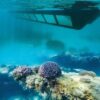 Semi-Submarine & Snorkeling Adventure