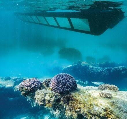 Semi-Submarine Hurghada & Snorkeling Adventure Semi-Submarine & Snorkeling Adventure