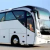 coach